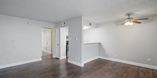 Hadley at Bellmar Gallery 7