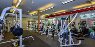 Cortland at Phipps Plaza Gallery 17