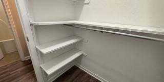 9532 Chi Chi Cv Gallery 10