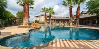 Palmera on 3009 Gallery 8