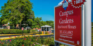Campus Gardens Gallery 17