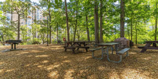 1 Bedroom Condo in Building with Amenities! 1 Bedroom Condo in Building with Amenities! Gallery 36