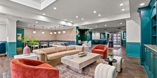 505 Collection Gallery 2