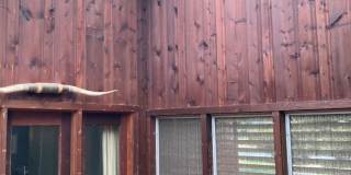 3 BR/3 BA Home with Large Yard Gallery 8