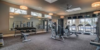 Boardwalk on Research Gallery 18