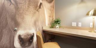 The Yards and Backyards Apartments Gallery 81