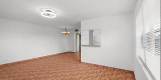 346 Windsor O Gallery 11