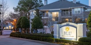 Blu on the Boulevard Gallery 6