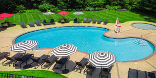 Atlantic Pointe Apartments Gallery 11
