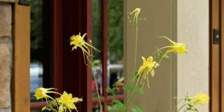 111 S Sixth Street Gallery 59