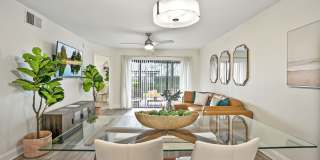 The Club at Millenia Gallery 24