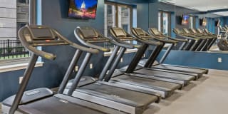 The Quincy Gallery 15