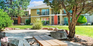 Canyon Ranch Gallery 4