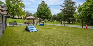 Mountain View Gallery 17