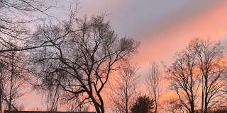 131 Wallingford Rd Gallery 14