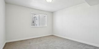 Carrington Square Gallery 53