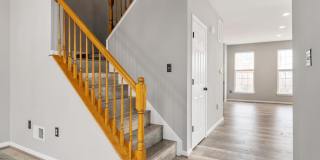 1126 HAMPTON Street Gallery 21