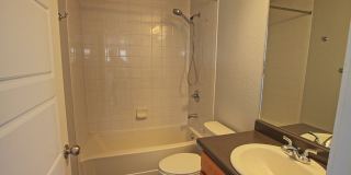 5 bed 3.5 bath home in the Meadows Gallery 15