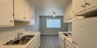 Summer Woods Gallery 1