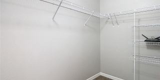 32670 ANSLEY BLOOM Lane Gallery 28
