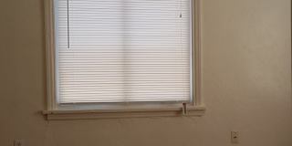 Spacious 1 bed, 1 bath in Great Location Gallery 9