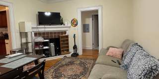 Watch YT Video Tour! Modern Apt w Ht/HW Included, Near T, NO FEE, Reduced Pricing! Spacious, Sunny! Gallery 31