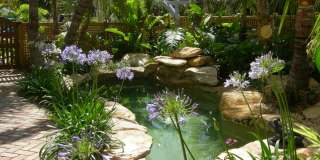 226 NE 1st Avenue unit: Key Lime Suite Gallery 4