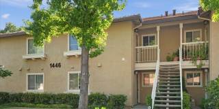 1446 Chateau Cmn unit: 104 Gallery 1