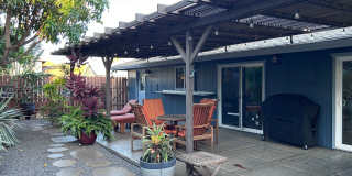 Dog Friendly 3 Bed / 2 Bath Home with Backyard Oasis Gallery 1