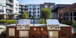 The Everly Gallery 14