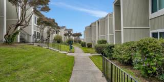 Skyline View Gallery 8