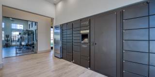 Tacara at Stone Oak Gallery 14