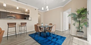 Bella Mirage Gallery 8