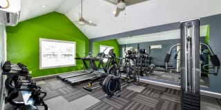 The Lory of Savannah Gallery 11