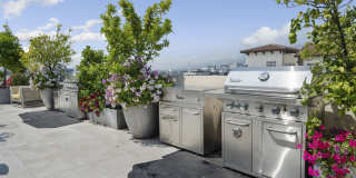 Maia Avira at Glendale Gallery 14