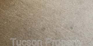 2831 E Adams Street Gallery 17