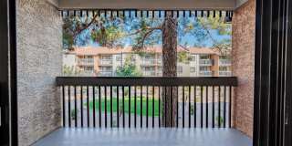 Renaissance Gallery 2