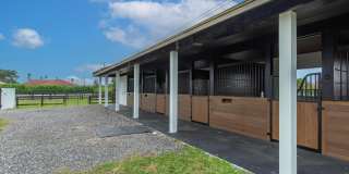 2184 Appaloosa Trail Gallery 4