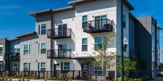 The Main Apartments + Lofts Gallery 8