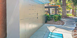 Bella Solara Gallery 12