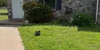 501 Bluebonnet Drive Gallery 1