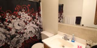 Great Home in Loveland Great Home in Loveland Gallery 6
