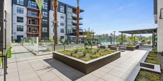 Soltra Kierland Gallery 12