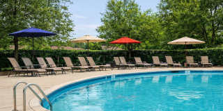 Richmar Owings Mills Gallery 7