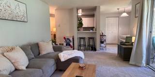 Remodeled ground floor 2 bed! Gallery 27