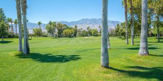 67421 Toltec Court Gallery 18