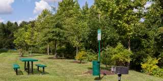 The Islands of Fox Chase Gallery 25