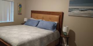 22 Tulip Avenue Gallery 1