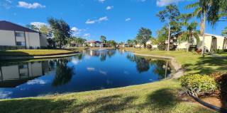 310 Knotty Pine Circle Gallery 13