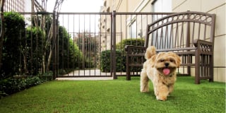 Villa Piana Apartments Gallery 14